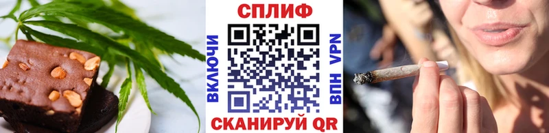 закладка Шагонар МЕГА как зайти Еда ТГК марихуана