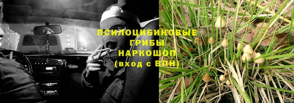 спайс Арсеньев