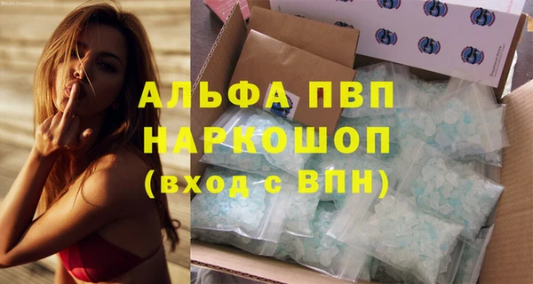 крисы Белокуриха