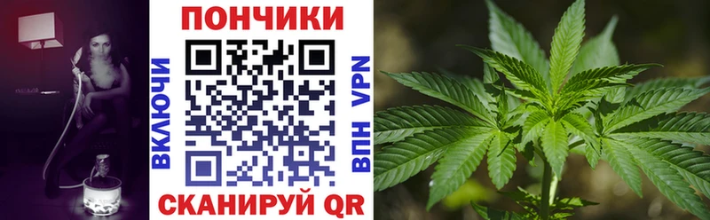 купить закладку  OMG tor  Бошки марихуана LSD WEED  Шагонар 