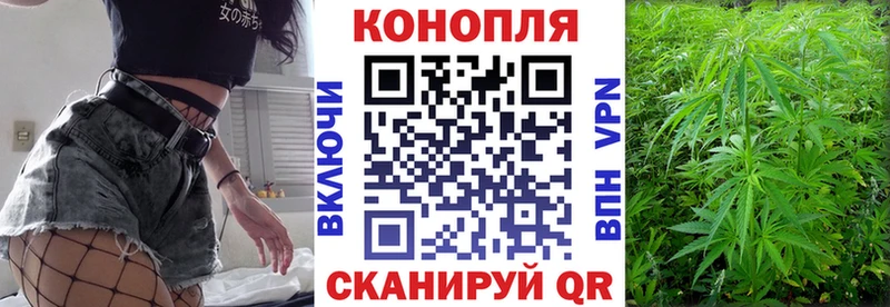 Каннабис план Шагонар